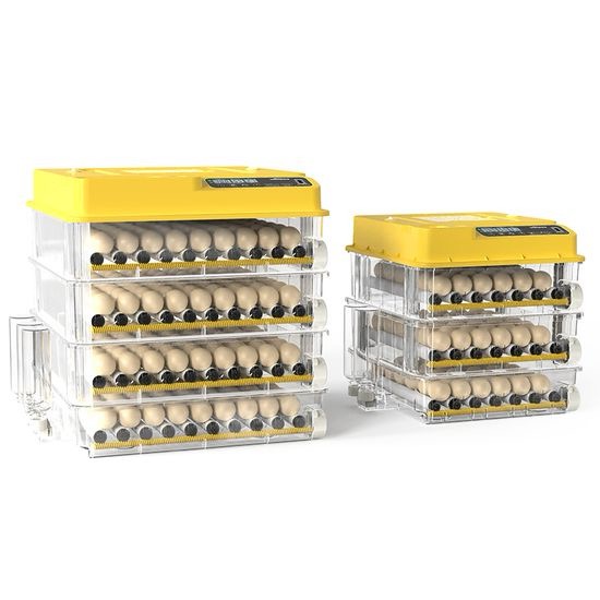 Egg Incubator Automatic