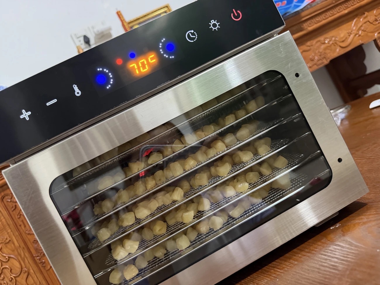 Dried Fruit & Food Dehydrator